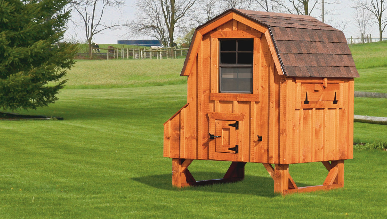 Dutch Chicken Coops | Coop Styles