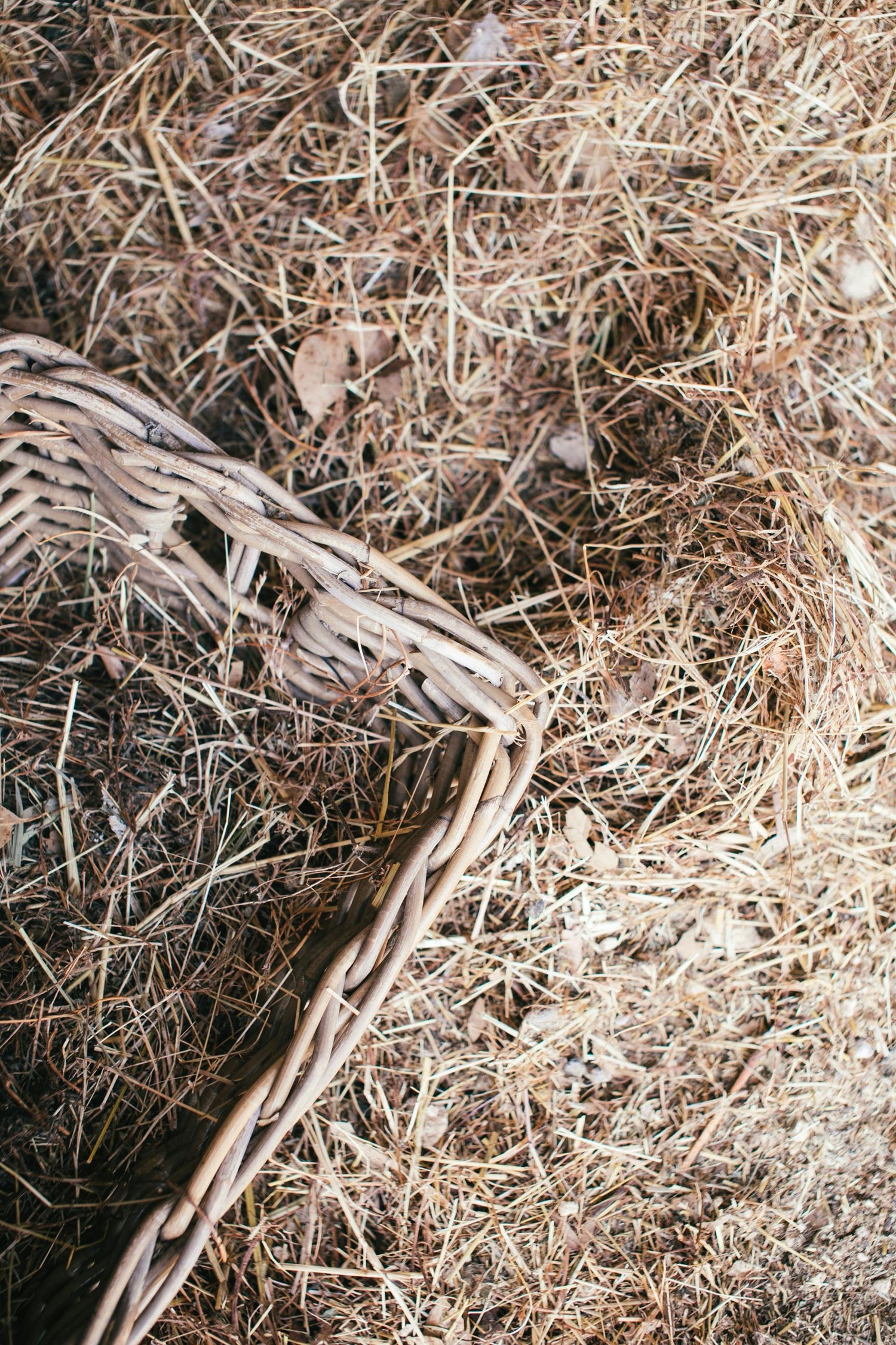 Chicken Coop Accessories