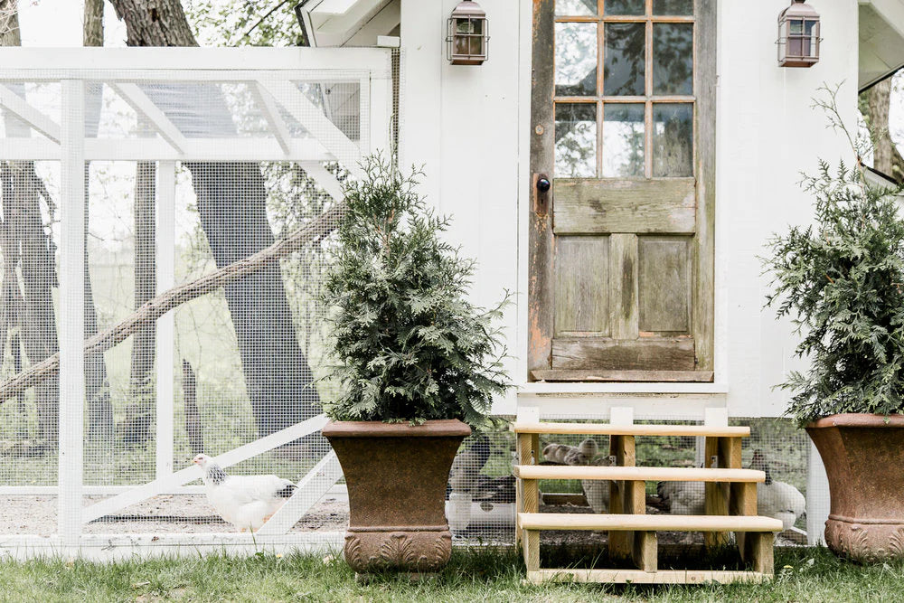 Chicken Coop Cottage